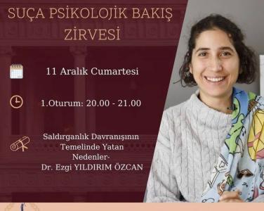 "Suça Psikolojik Bakış: Saldırganlık Davranışının Temelinde Yatan Nedenler"