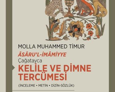 Head of Turkish Language and Literature Department, Dr. Feyzi Çimen's new book was published.